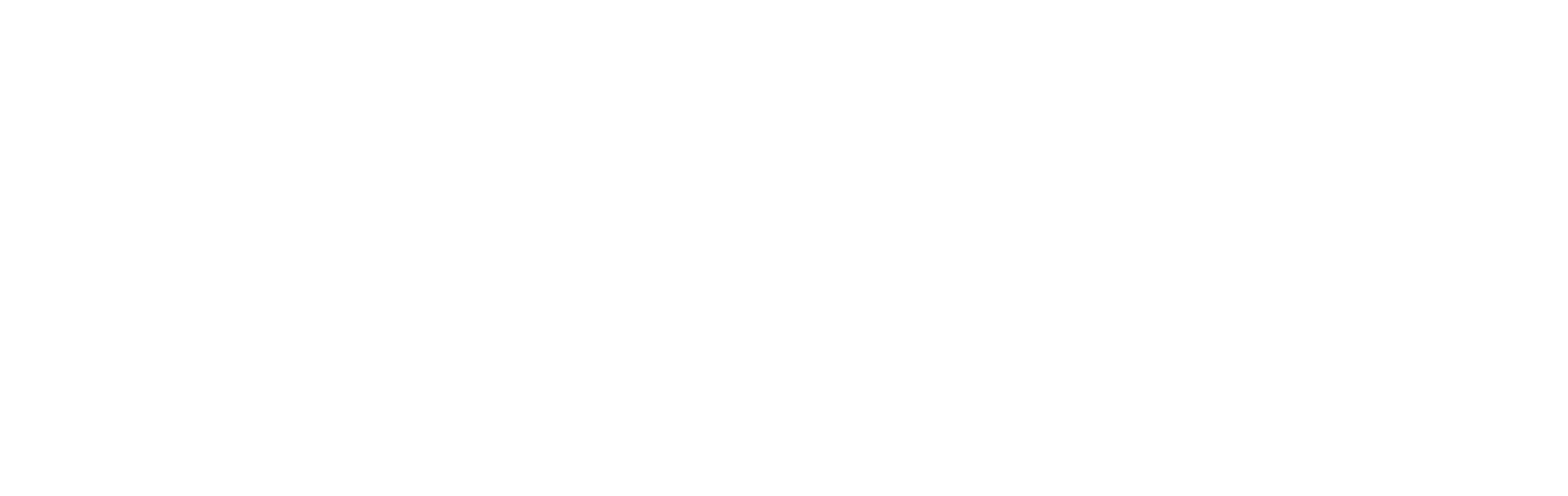 logo_pixhit_white